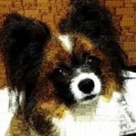 やまとさん