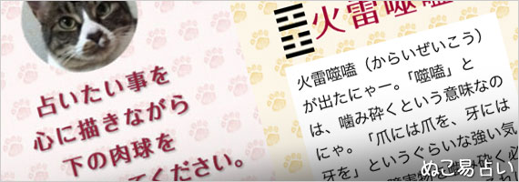 ぬこ易占い ぬこ易占い